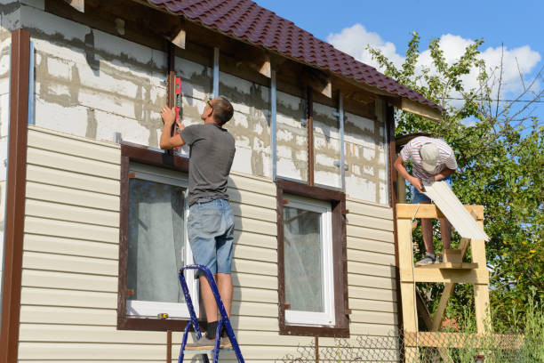 Best Insulated Siding Installation  in Narrows, VA